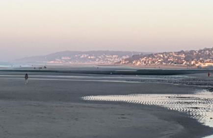 Plazza front de Mer - Photo 34