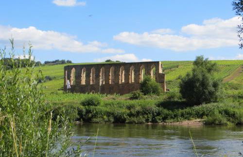 Zur Gartenlaube - Foto 21