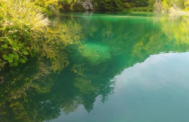 Apartment Gabi - Foto 54