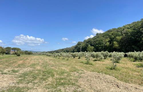 Il Leccio Agriturismo - Foto 58