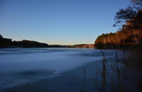 Sowa i Kumple - Foto 7