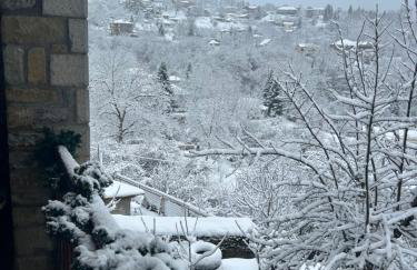 Πατρικό ολόκληρος ξενώνας entire stone guesthouse - Foto 69