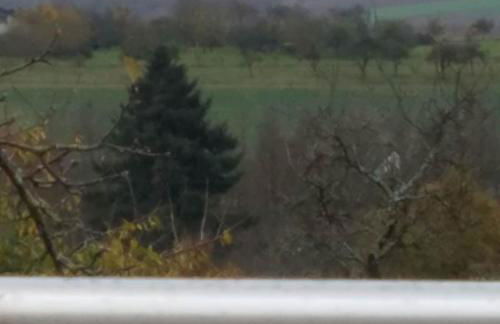 Sonnenhaus Oppenhausen - Foto 12