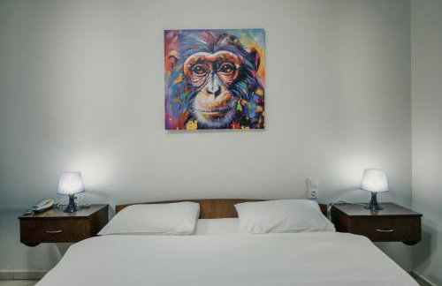 O FOTIS , Restaurant , Studios & Apartments - Photo 59