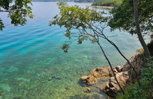 Villa Kučan - Foto 57