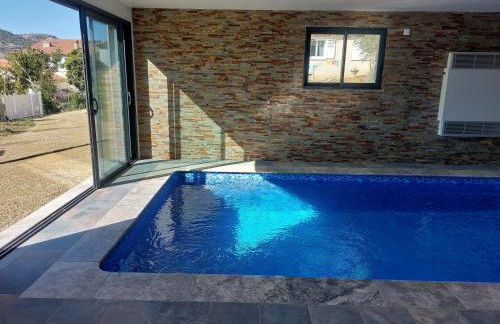 Les abeilles du Mont d'or - Foto 29