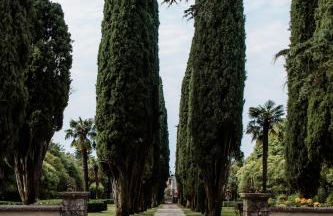 Wine Relais Villa Cipolla Pieropan - Foto 8