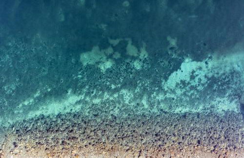 La Villa du Lac - Appartements de vacances - Les pieds dans l'eau - Foto 54