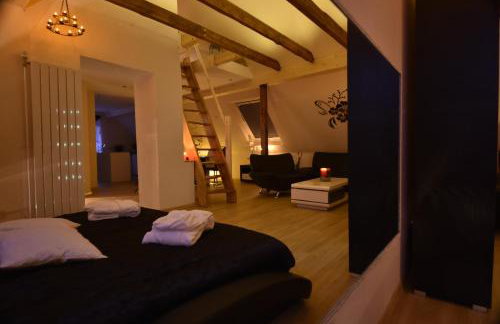 CATS Dreams - Foto 1