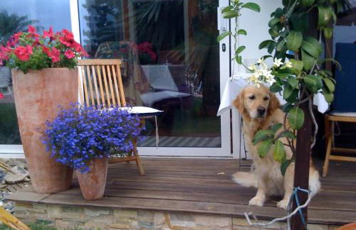 Casa Maria 64 - Foto 29