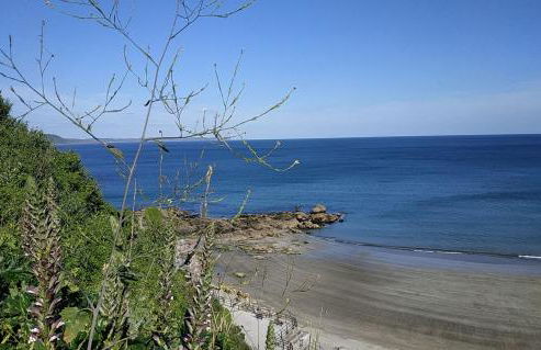 dog friendly nancecliff cottages - Foto 39