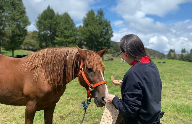 El Prado Glamping - Foto 6