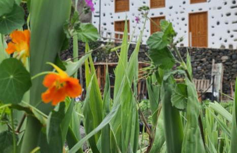 CASA RURAL ANTIGUA ESCUELA I - Foto 1