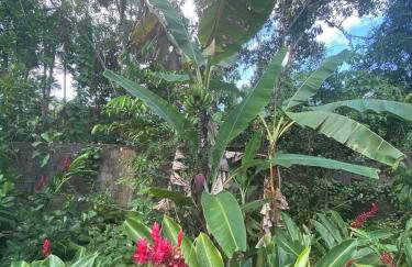 Chácara Gomes - Caiubura - Bertioga - Foto 70