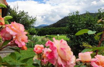 Ferienwohnung Belchenblick - Foto 19