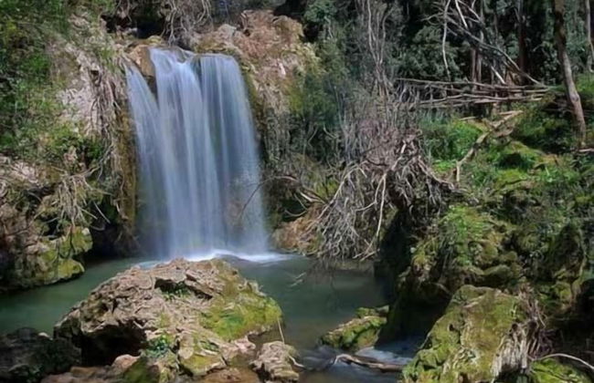 Casa Grande - Photo 42