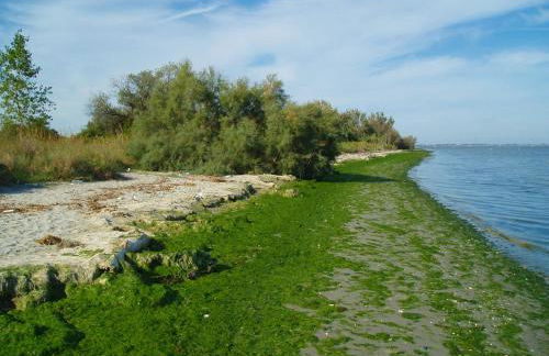 Palazzo Spada - Attico con terrazza vista fiume in centro - Foto 51