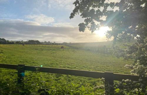 Goatchers Cottage & Goatchers Studio - Foto 15