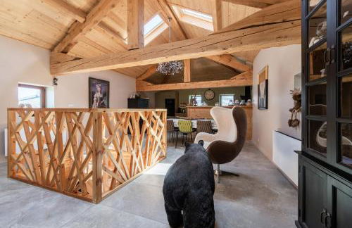 Maison Melanie - Superbe Chalet proche des pistes - Foto 3