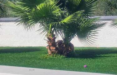 Villa Polis - Foto 57