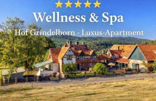 Wildblick Appartment Hof Grindelborn - Foto 31