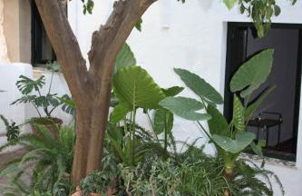 Las Jimenas - Foto 1