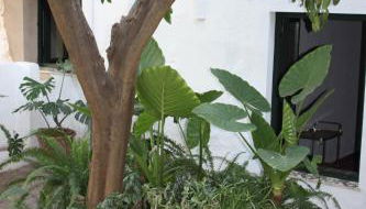 Las Jimenas - Foto 1, Garden