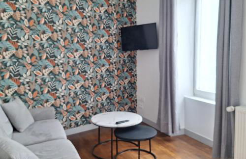 Appartement RDC centre ville - Local vélos disponible - Foto 8