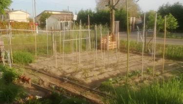 a casa di nonna Tarsilla-entire apartment,5 guests - Foto 4