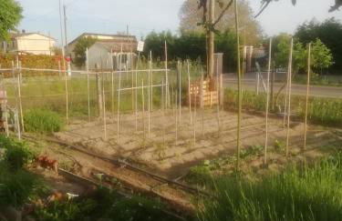 a casa di nonna Tarsilla-entire apartment,5 guests - Foto 4