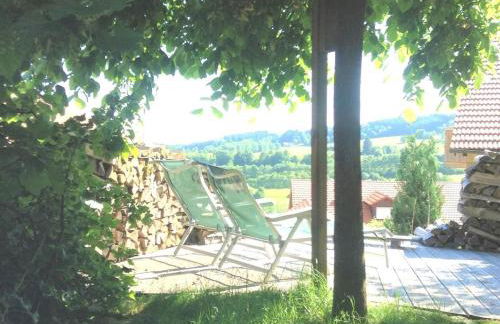 Haus Paradies Superior FEWO`S Loft, Terrasse, private Sauna, aktiv Card, Sankt Englmar - Foto 44