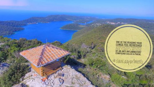 Apartments Slavica - Foto 4