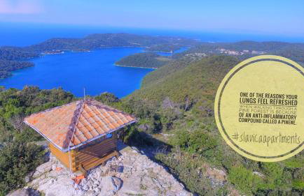 Apartments Slavica - Photo 4