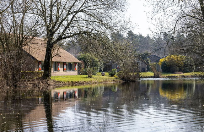 Bungalow in Veluwe Near Harderwijk - Photo 19