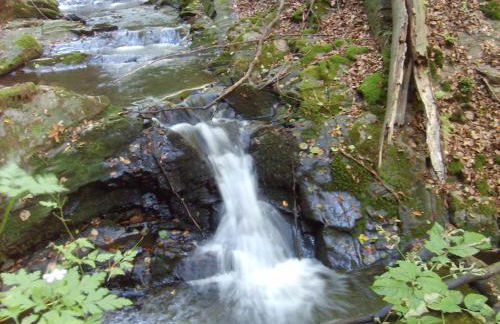 Schau-Rhein#1 - On top of Bacharach, Rhineview - Photo 39