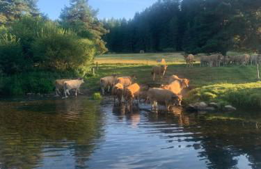 Le Café Crème jardin parking - Foto 29