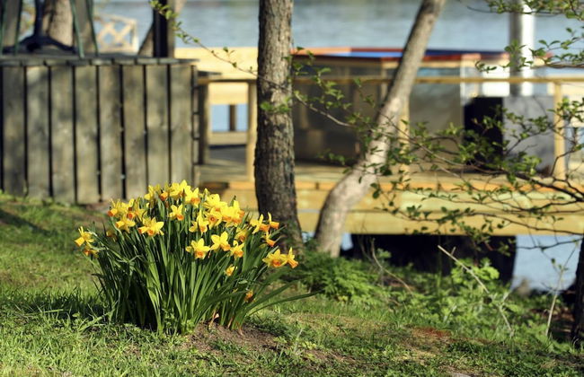 Äijälän Rusti Paratiisisaari - Foto 31