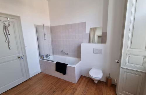 Grande maison familiale plein centre vieux Laval - Foto 18