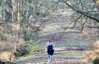 Little Woodside a beautiful New Forest self contained private luxury annexe - Foto 55