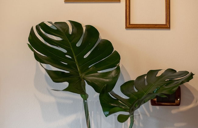 DormiVeglia B&B - Foto 21