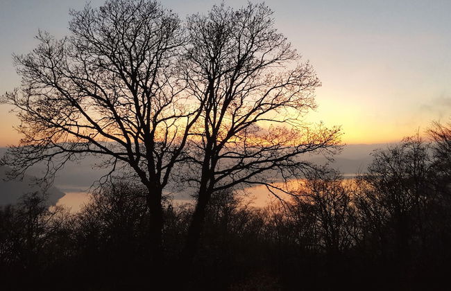 Friedrichs Ferienwohnungen - Foto 53