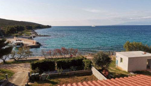 Apartment in Ugljan - Insel Ugljan 42969 - Foto 5