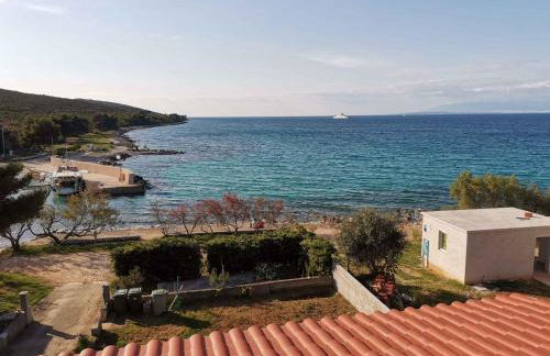 Apartment in Ugljan - Insel Ugljan 42969 - Foto 5