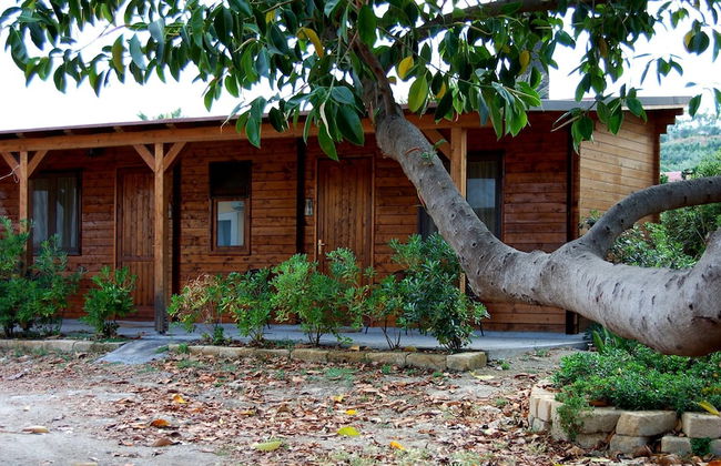 Il Giardino del sole - Foto 62