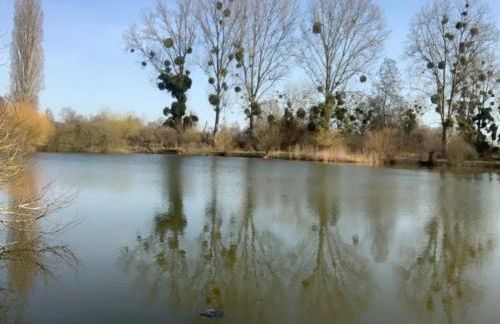 Chalet La Bohème - Foto 8