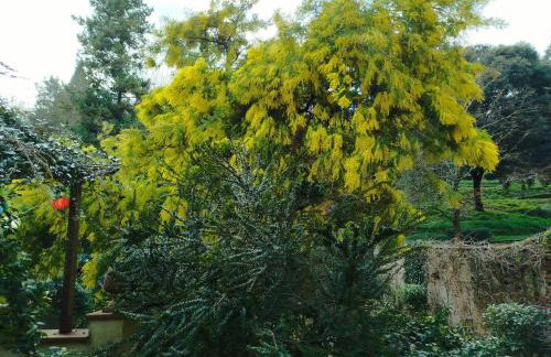 Casa Quaratesi - Photo 12