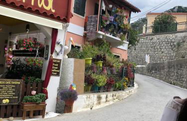 Sofia's Bella Vista Pagoi - Photo 77