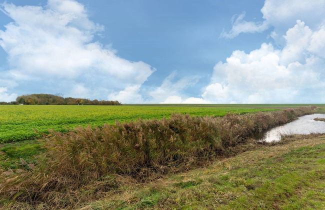 Holiday Home Near Scherpenisse Beach - Foto 44