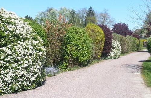 Gites de la Ferme de l'Eglise - Foto 73
