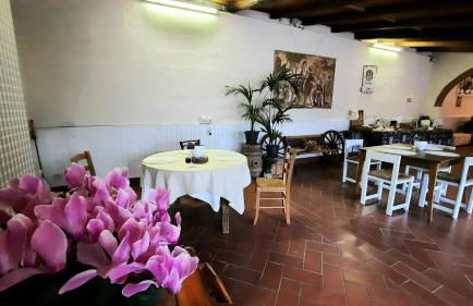 Agriturismo Il Pillone - Foto 33